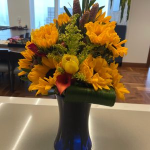 Sun-drenched Morning